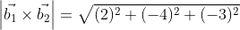 \left | \vec{b_{1}}\times\vec{b_{2}} \right | = \sqrt{(2)^2+(-4)^2+(-3)^2}